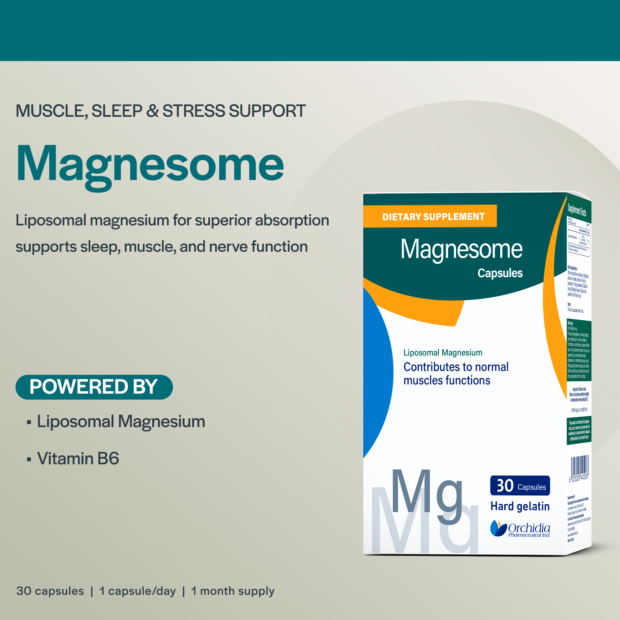 Magnesome, Liposomal Magnesium Supplement – 30 Capsules