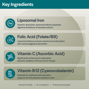 Lipoferric Folic – 30 Capsules